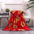 Sunred- Printed Ac Blanket